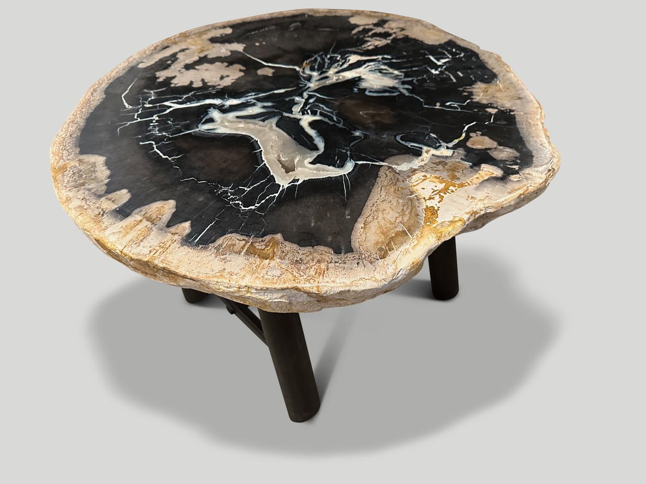 Andrianna Shamaris Beautiful Rare Petrified Wood Side Table In Excellent Condition For Sale In New York, NY