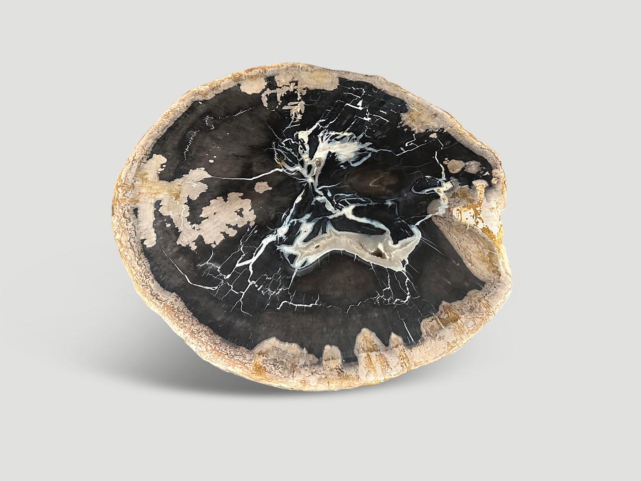 Contemporary Andrianna Shamaris Beautiful Rare Petrified Wood Side Table For Sale