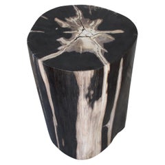 Antique Andrianna Shamaris Beige and Black Super High Quality Petrified Wood Side Table
