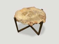 Andrianna Shamaris Beige Petrified Wood Slab Side Table or Coffee Table