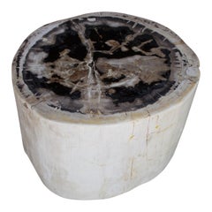 Andrianna Shamaris Beige Toned Petrified Wood Side Table