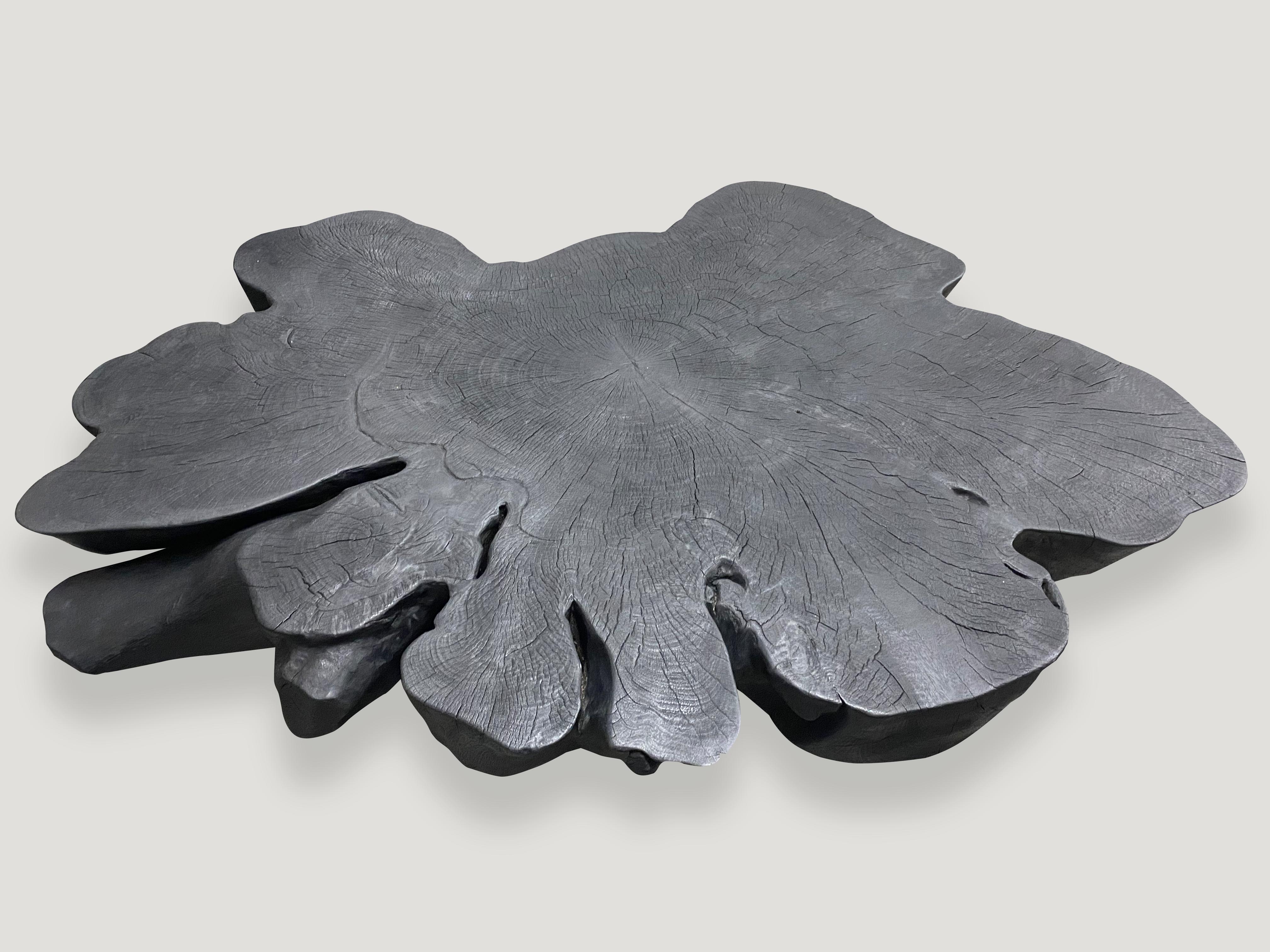 Organic Modern Andrianna Shamaris Biomorphic Sculptural Charred Mango Wood Coffee Table For Sale