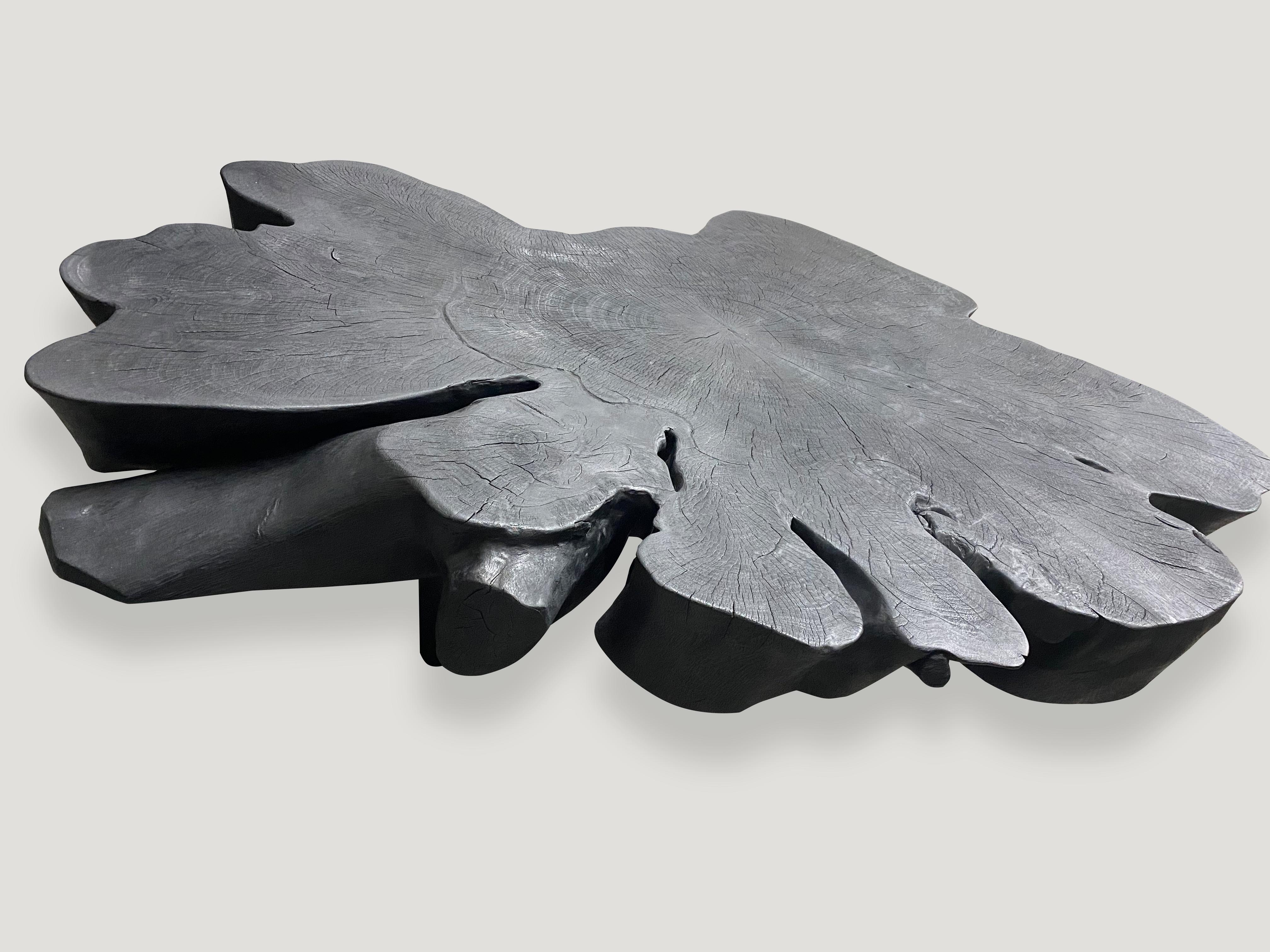 Contemporary Andrianna Shamaris Biomorphic Sculptural Charred Mango Wood Coffee Table For Sale