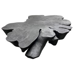 Andrianna Shamaris Biomorphic Sculptural Charred Mango Wood Coffee Table