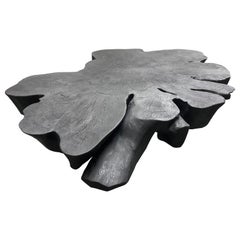 Andrianna Shamaris Biomorphic Sculptural Charred Mango Wood Coffee Table