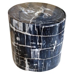 Antique Andrianna Shamaris Black and Grey High Quality Petrified Wood Side Table
