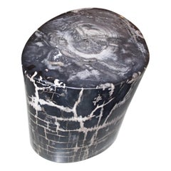 Andrianna Shamaris Black and Grey High Quality Petrified Wood Side Table