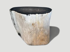 Andrianna Shamaris Black and White Ancient Petrified Wood Side Table