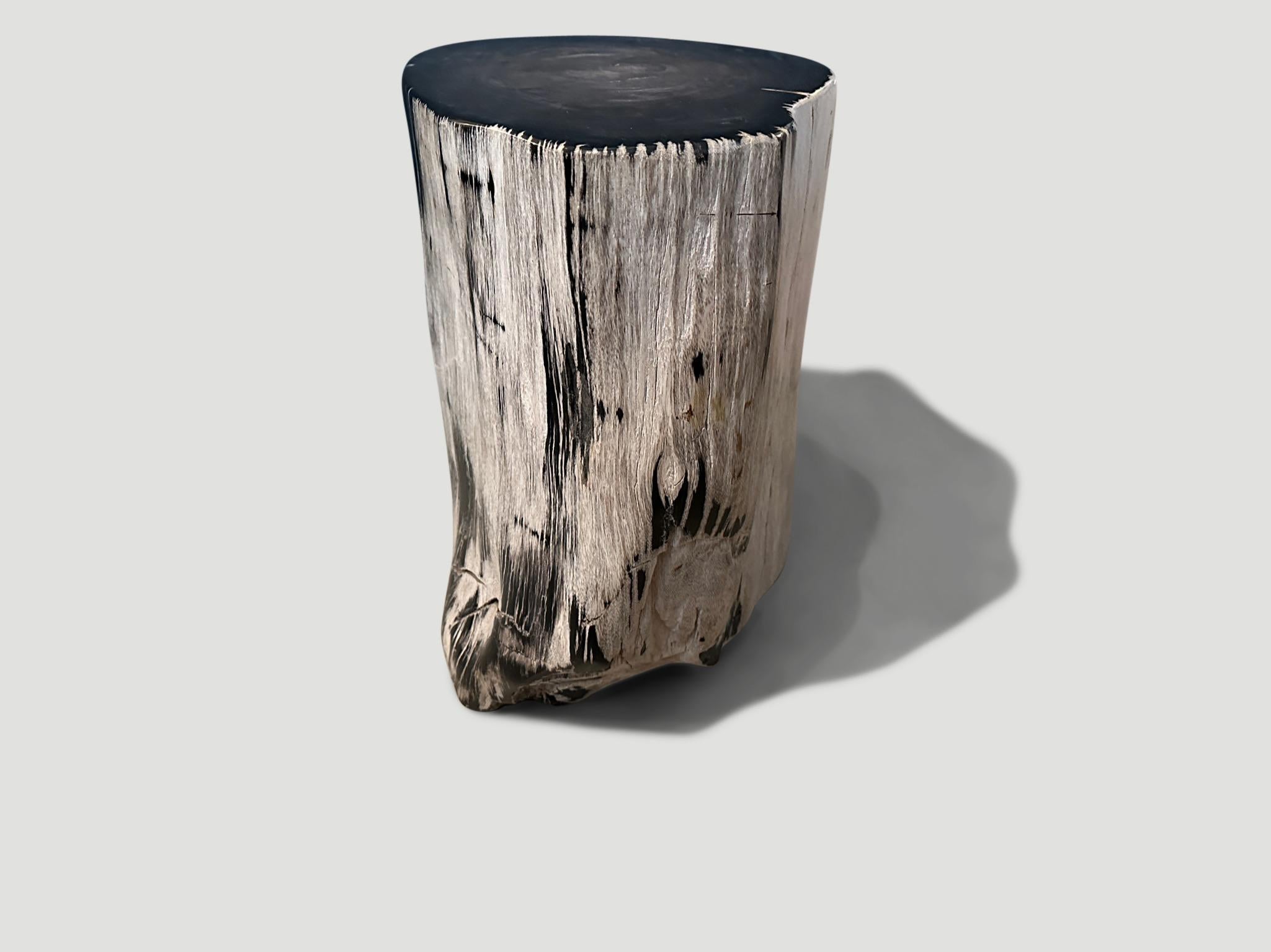Organic Modern Andrianna Shamaris Black and White Ancient Petrified Wood Side Table For Sale