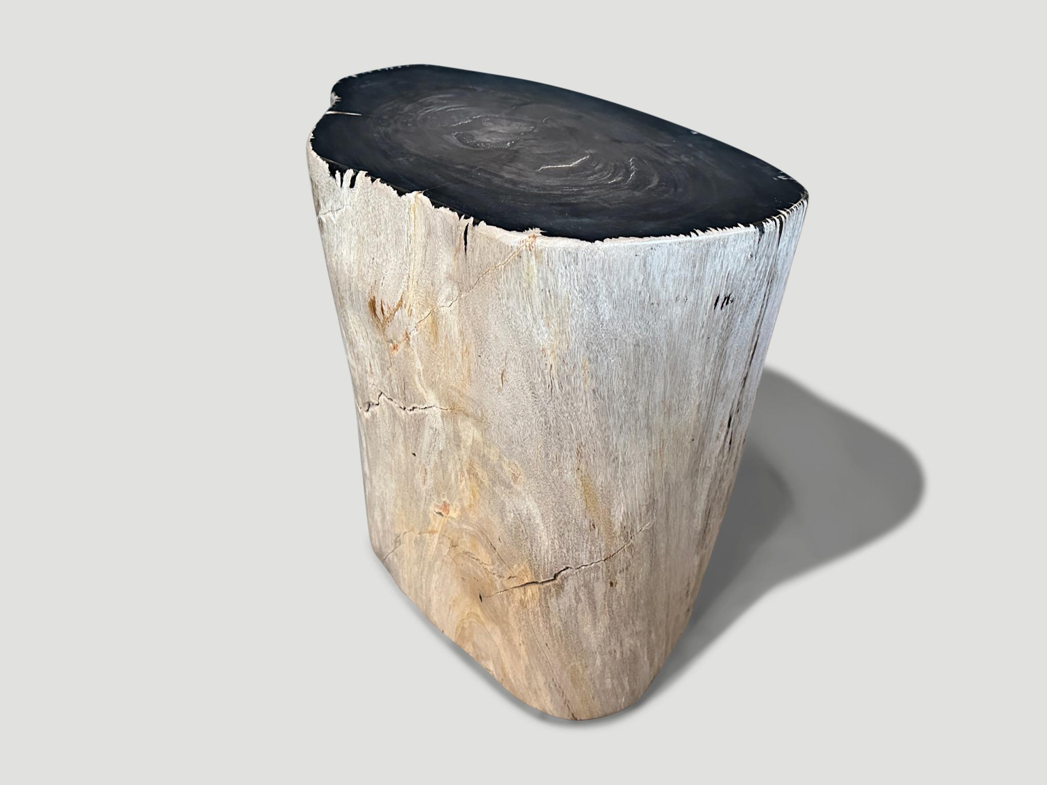 Andrianna Shamaris Black and White Ancient Petrified Wood Side Table In Excellent Condition For Sale In New York, NY