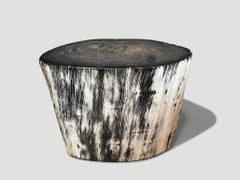 Andrianna Shamaris Black and White Ancient Petrified Wood Side Table Andrianna Shamaris Black and White Ancient Petrified Wood Side Table