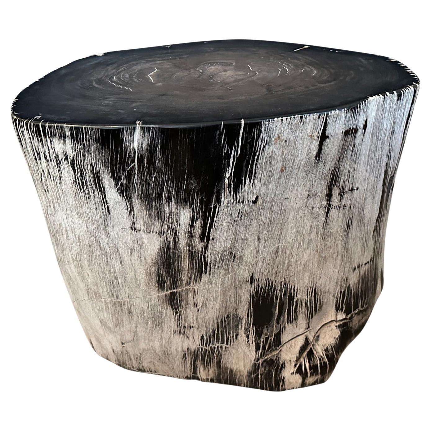 Andrianna Shamaris Black and White Ancient Petrified Wood Side Table For Sale