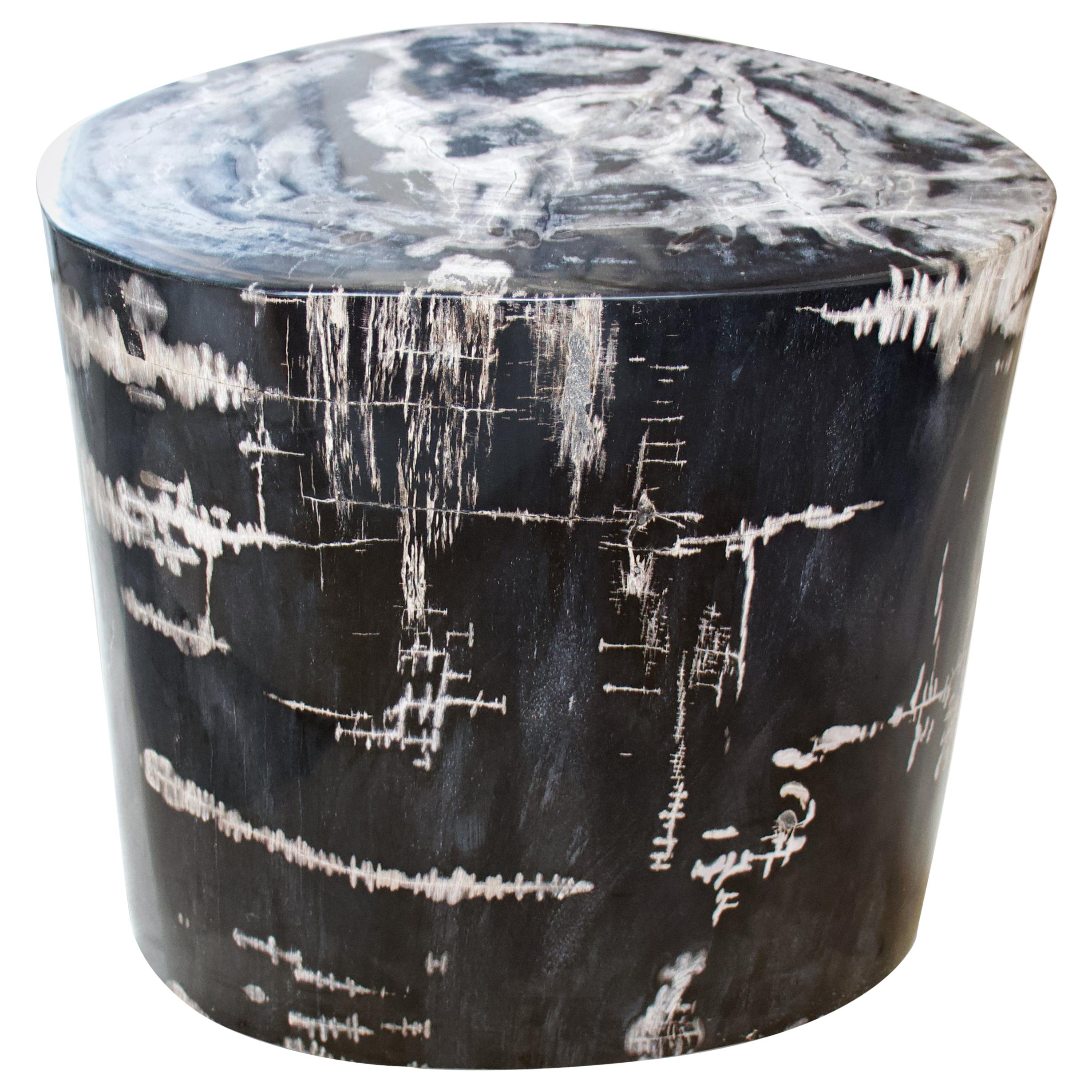 Andrianna Shamaris Black and White High Quality Petrified Wood Side Table