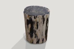 Andrianna Shamaris Black and White Petrified Wood Side Table