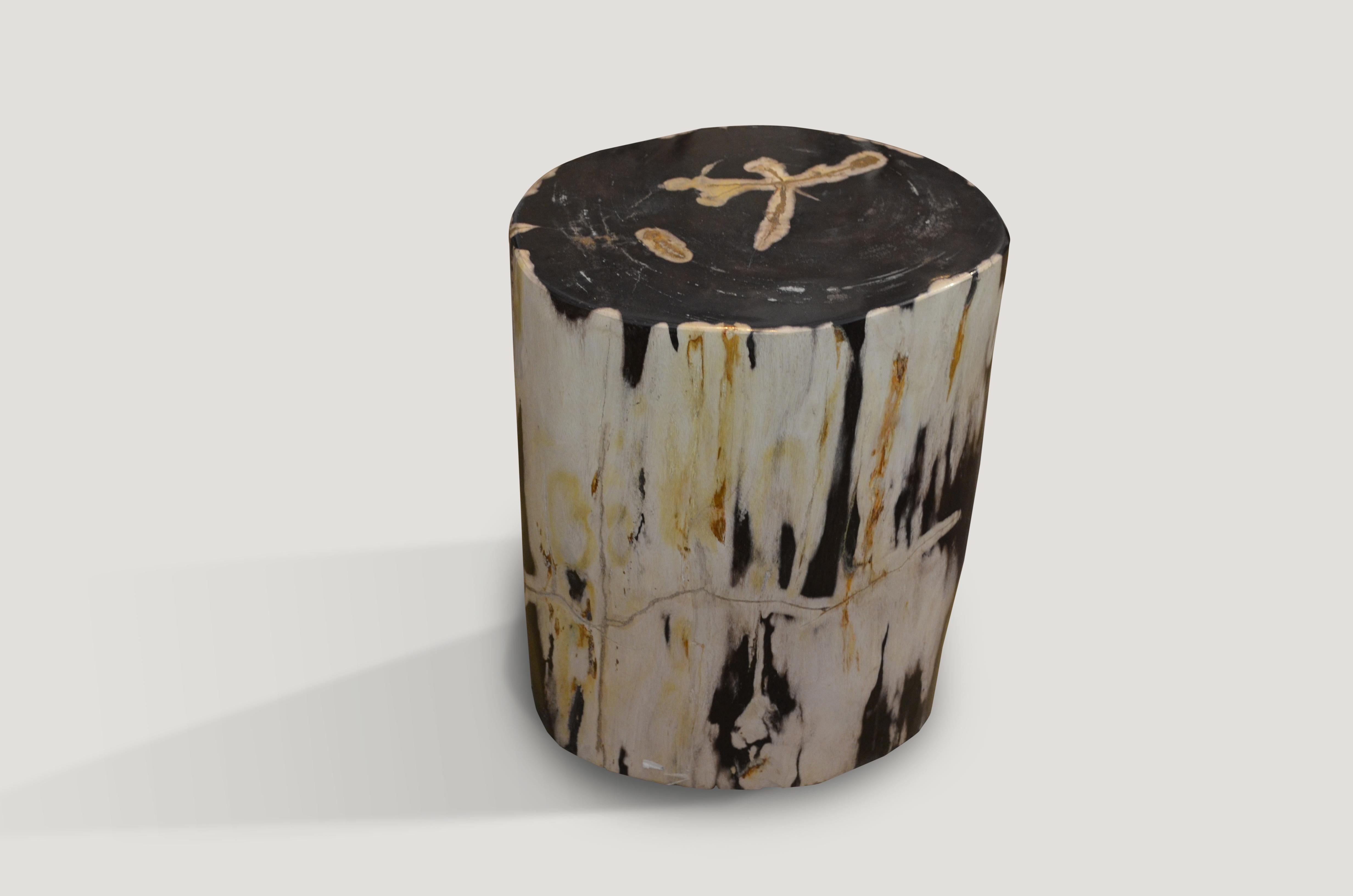 Stunning black and white petrified wood side table. We have a pair available cut from the same log. The price reflects one.

We source the highest quality petrified wood available. Each piece is hand selected and highly polished with minimal