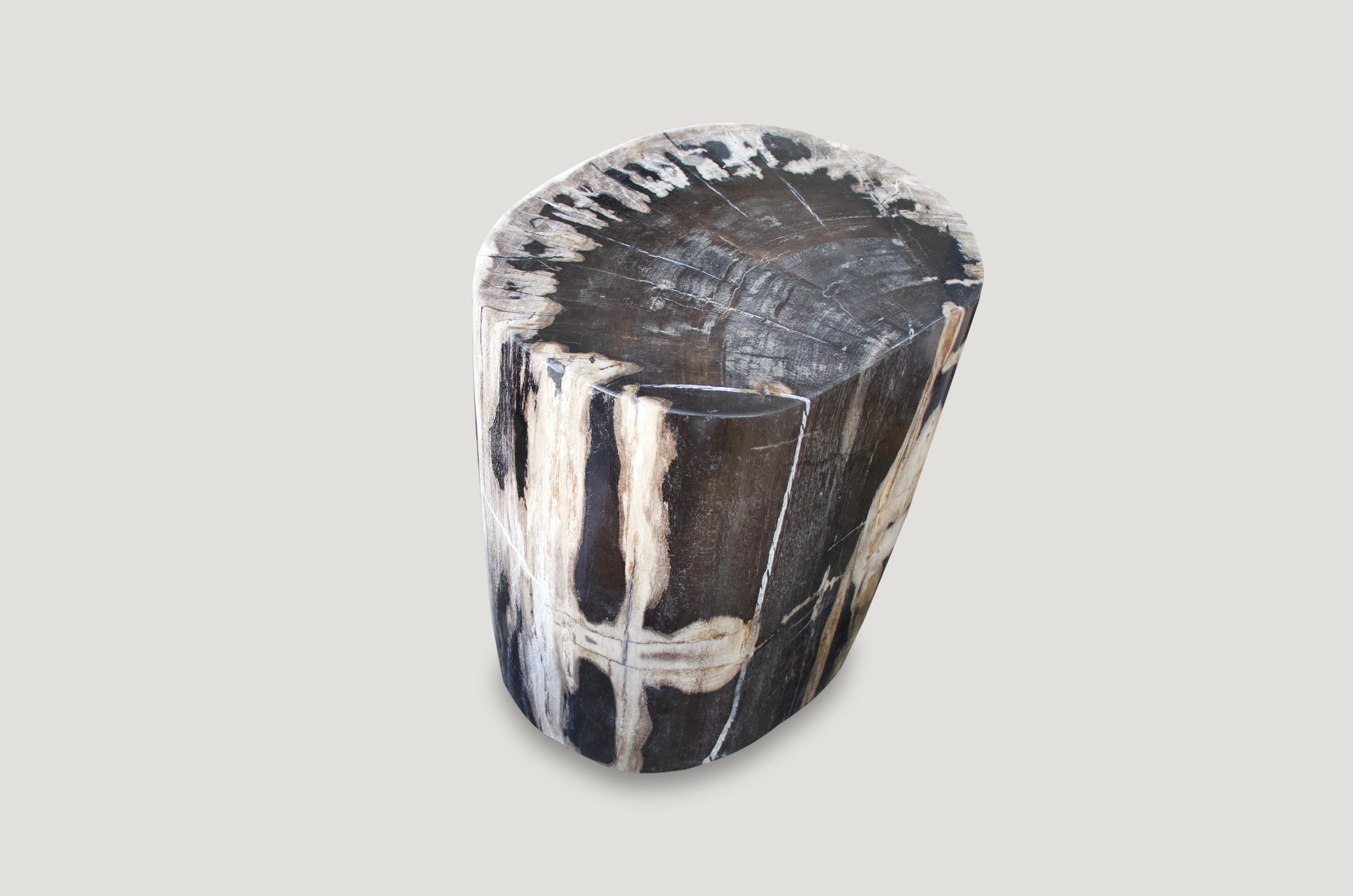 One side is white the other black. Beautiful petrified wood side table. Over 40 million years old, yet so modern.

We source the highest quality petrified wood available. Each piece is hand selected and highly polished with minimal cracks.