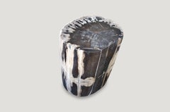 Andrianna Shamaris Black and White Petrified Wood Side Table