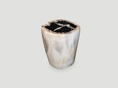 Black and White Petrified Wood Side Table