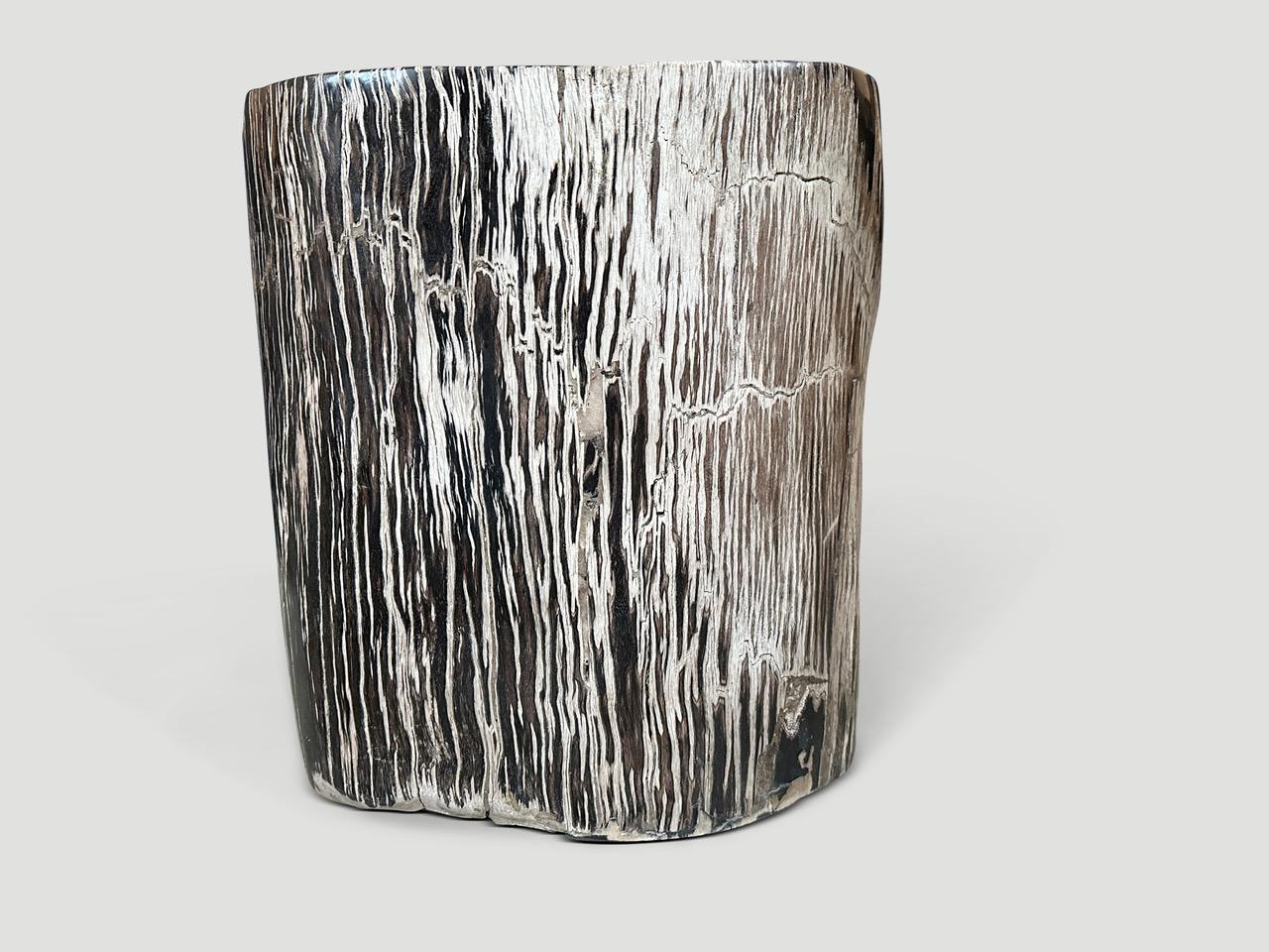 Cette table d'appoint en bois pétrifié de haute qualité présente d'impressionnants contrastes. Il est fascinant de voir comment Mère Nature produit ces stupéfiants troncs de teck pétrifiés vieux de 40 millions d'années, aux couleurs si contrastées