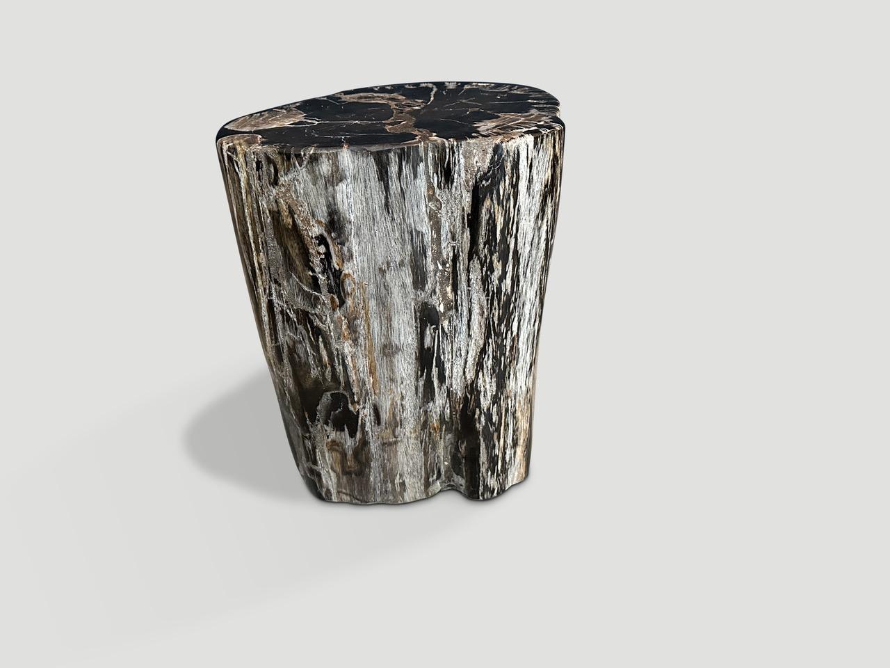 Dieser hochwertige Beistelltisch aus versteinertem Holz besticht durch seine kontrastreichen Farbtöne. Es ist faszinierend, wie Mutter Natur diese atemberaubenden, 40 Millionen Jahre alten, versteinerten Teakholzstämme mit solch kontrastreichen