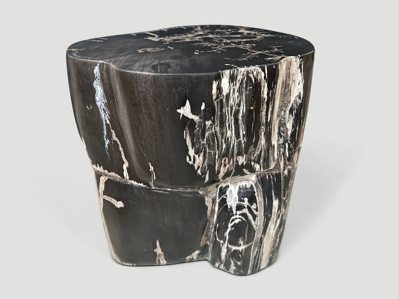 Organic Modern Andrianna Shamaris Black and White Petrified Wood Side Table For Sale