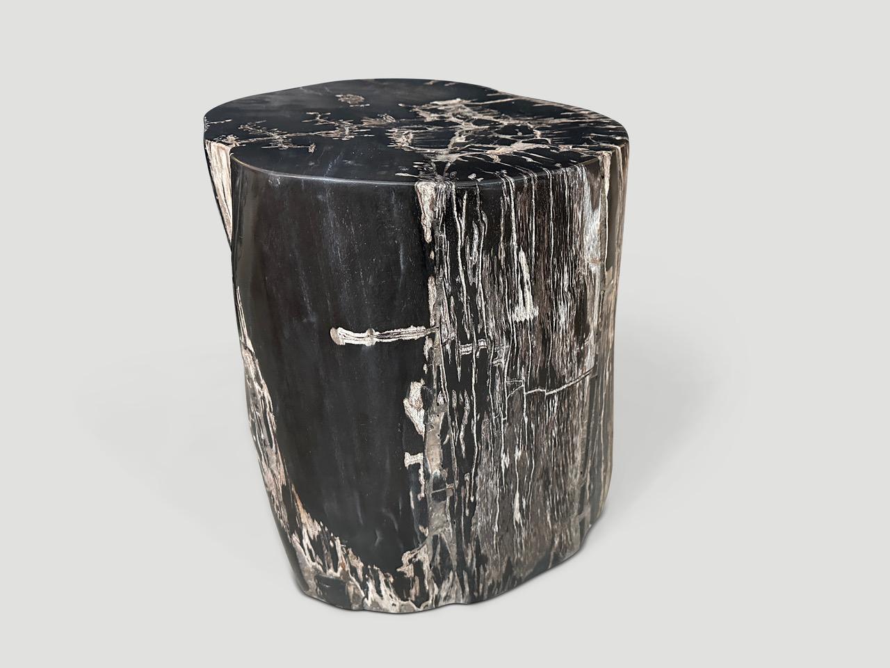 Andrianna Shamaris Black and White Petrified Wood Side Table In Excellent Condition For Sale In New York, NY