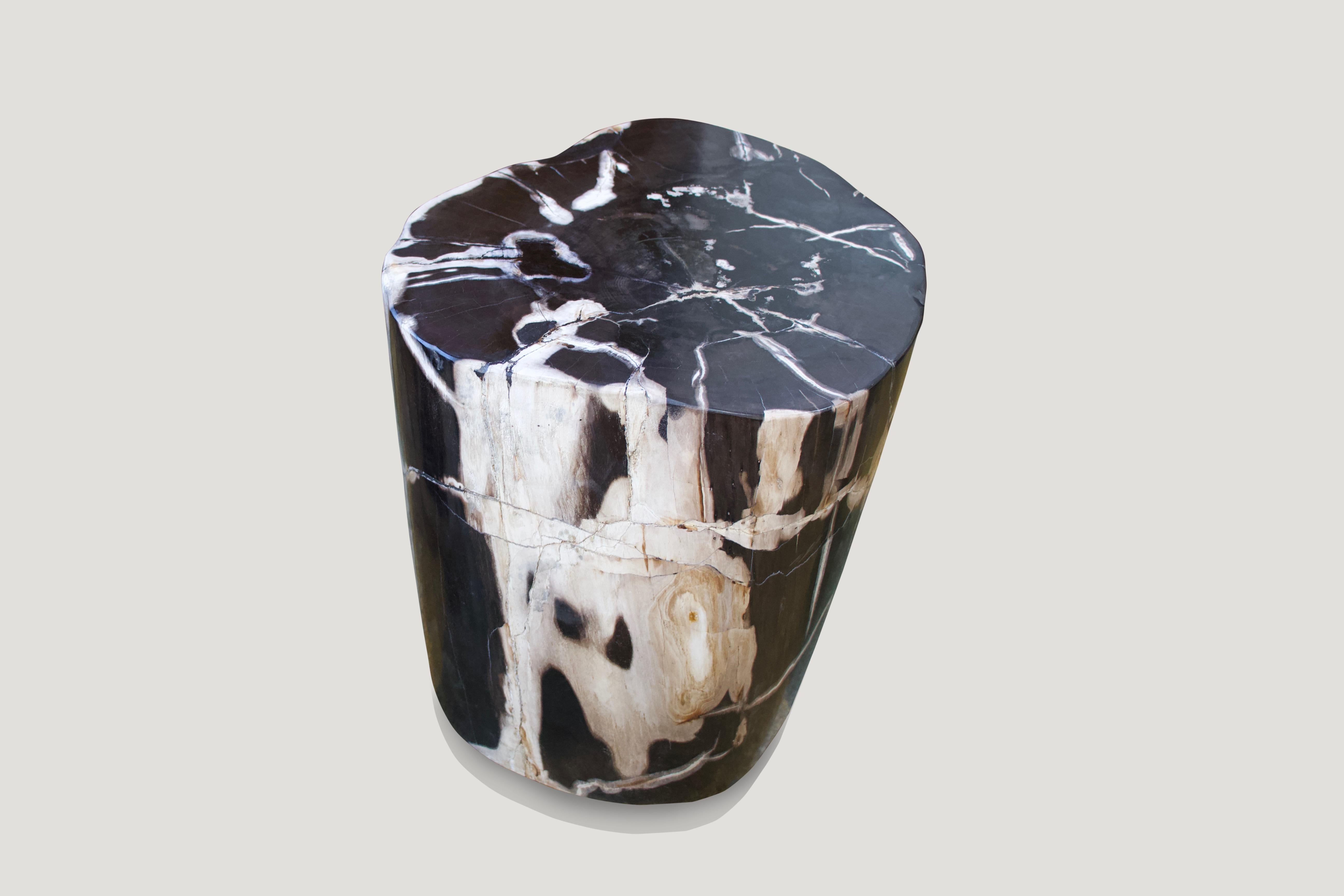 18th Century and Earlier Andrianna Shamaris Black and White Petrified Wood Side Table