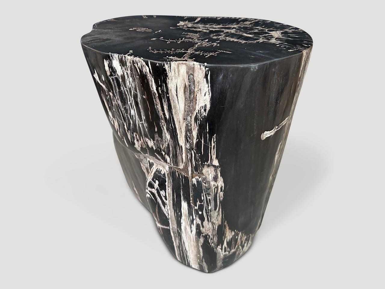 Andrianna Shamaris Beistelltisch aus versteinertem Holz in Schwarz und Weiß (21. Jahrhundert und zeitgenössisch) im Angebot