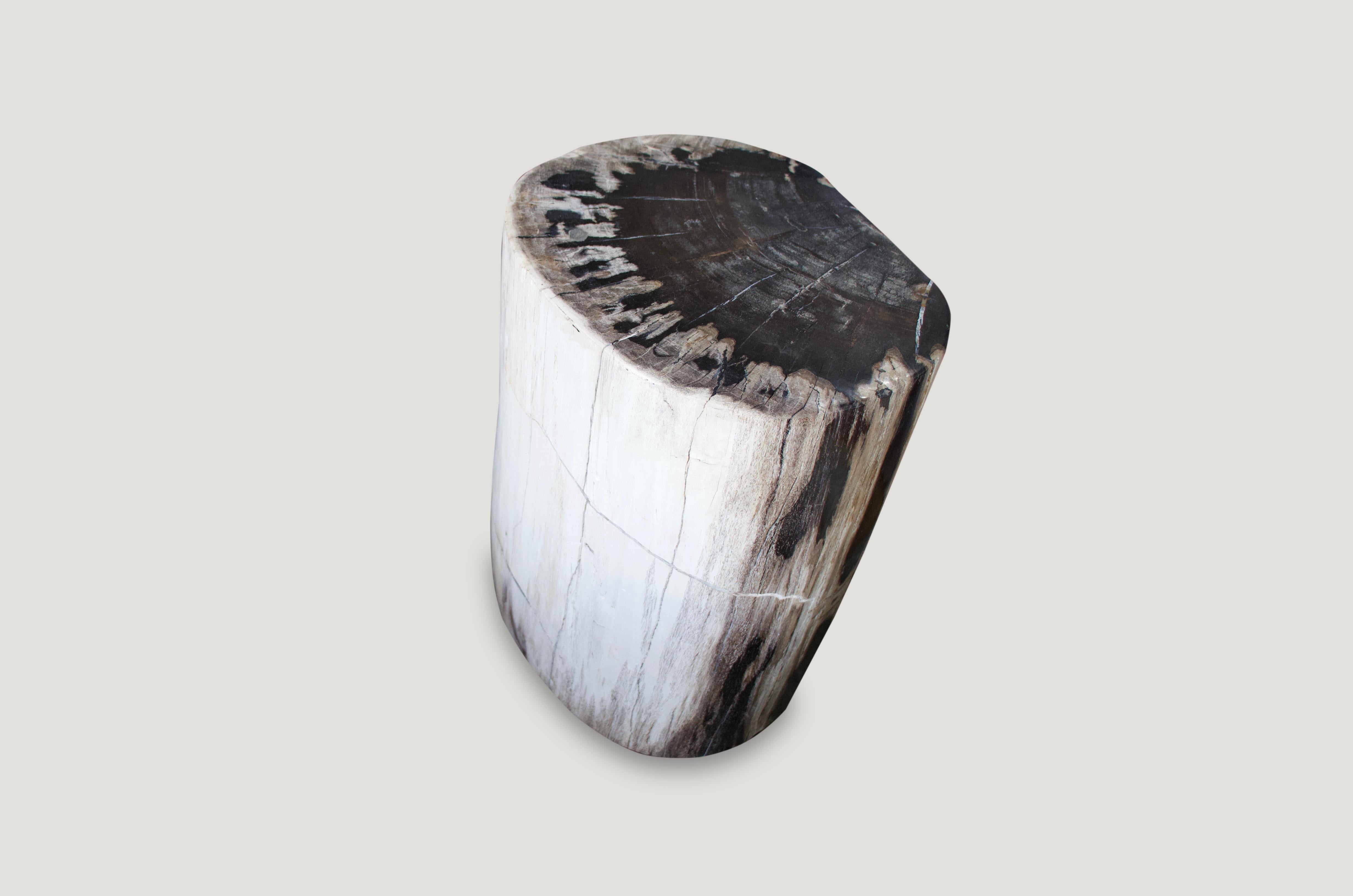 Andrianna Shamaris Black and White Petrified Wood Side Table 1