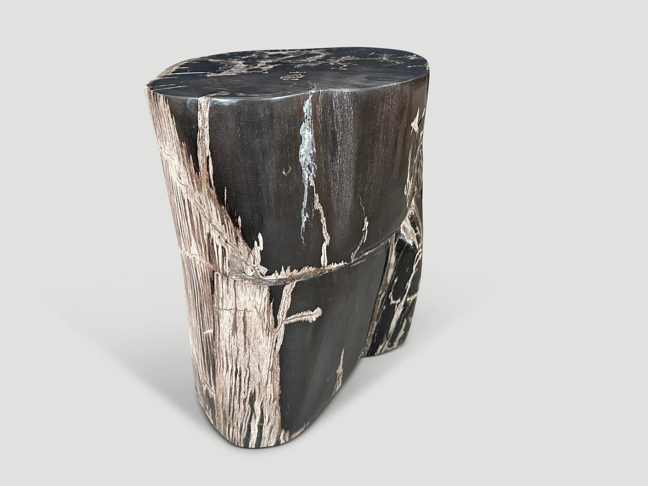 Andrianna Shamaris Black and White Petrified Wood Side Table For Sale 1