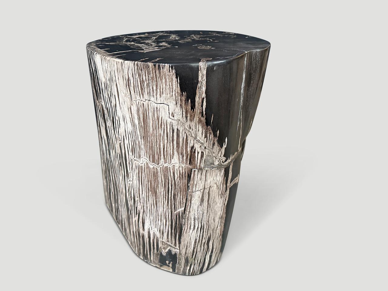 Andrianna Shamaris Black and White Petrified Wood Side Table For Sale 2