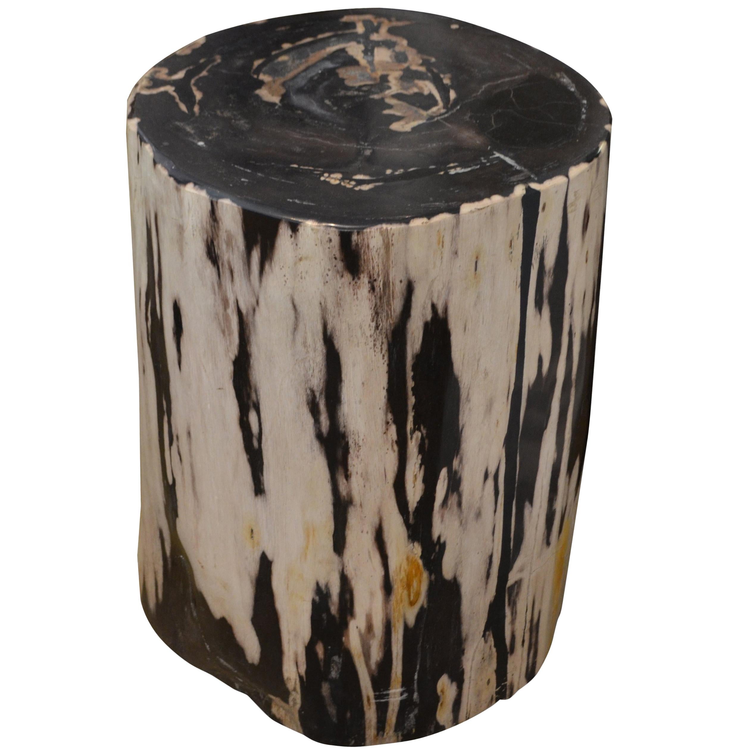Andrianna Shamaris Black and White Petrified Wood Side Table at 1stDibs