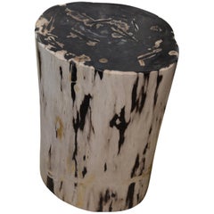 Antique Andrianna Shamaris Black and White Petrified Wood Side Table
