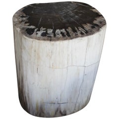 Andrianna Shamaris Black and White Petrified Wood Side Table Antique Andrianna Shamaris Black and White Petrified Wood Side Table