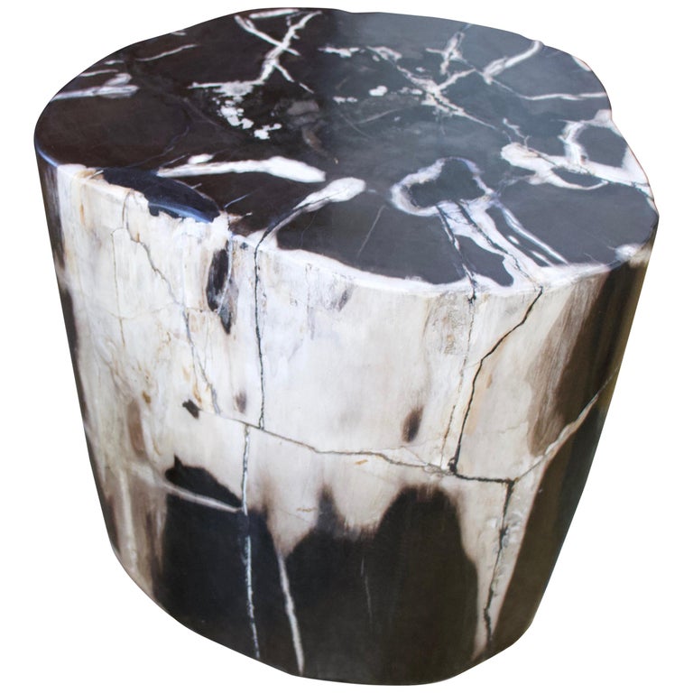 Andrianna Shamaris Black and White Petrified Wood Side Table at 1stDibs