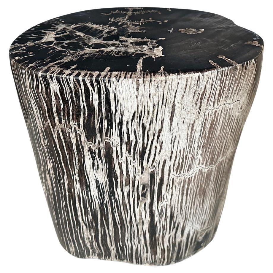 Andrianna Shamaris Black and White Petrified Wood Side Table For Sale