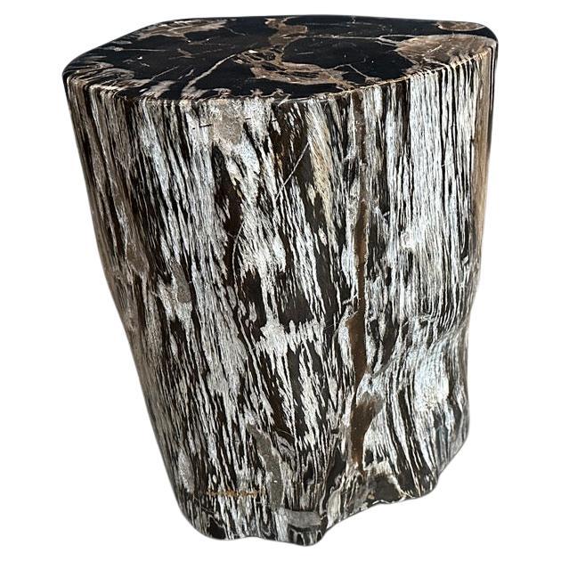 Table d'appoint en bois pétrifié noir et blanc Andrianna Shamaris