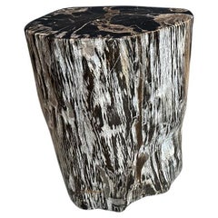 Andrianna Shamaris Black and White Petrified Wood Side Table