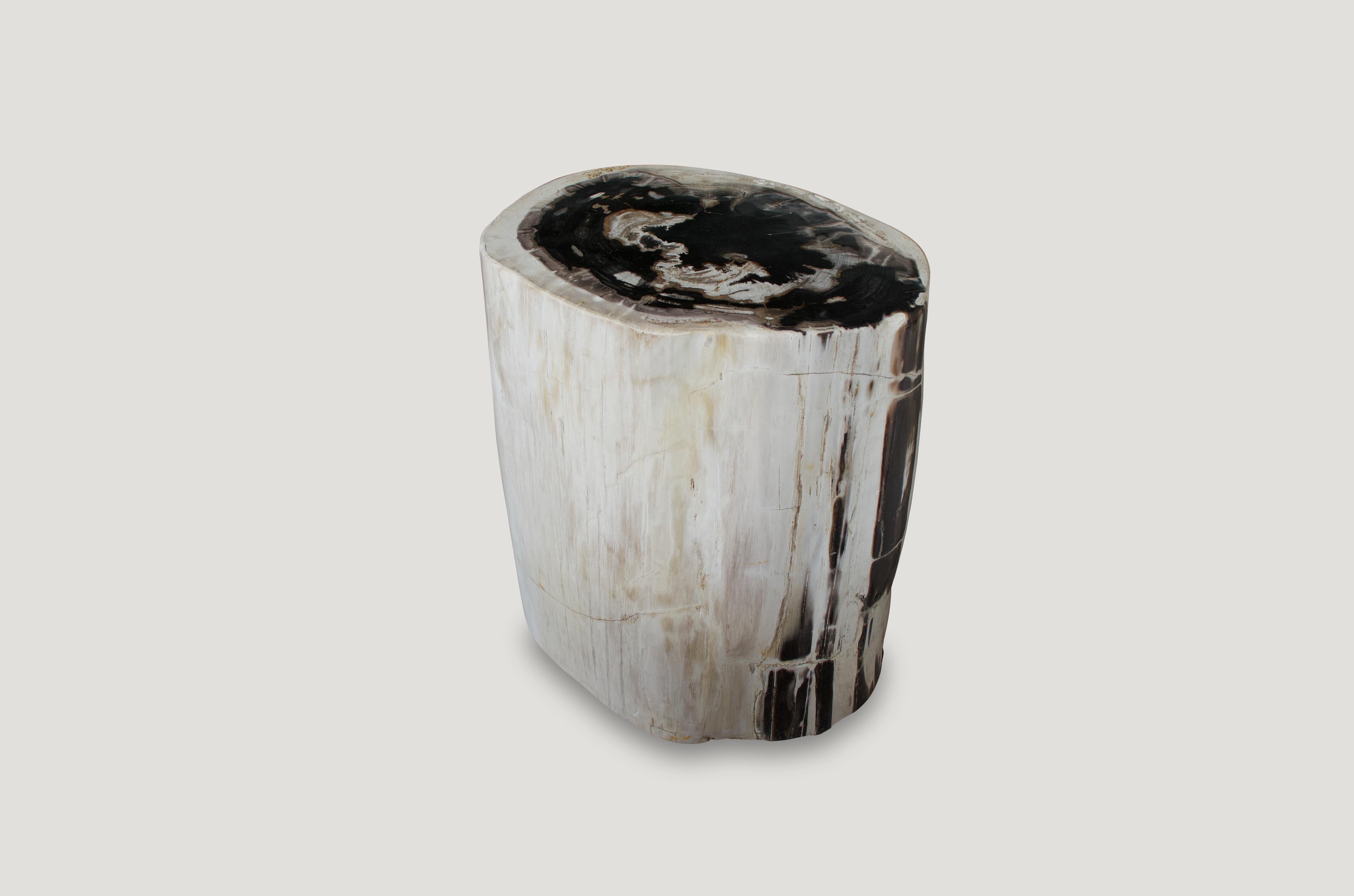 Organic Modern Andrianna Shamaris Black and White Petrified Wood Side Table or Pedestal