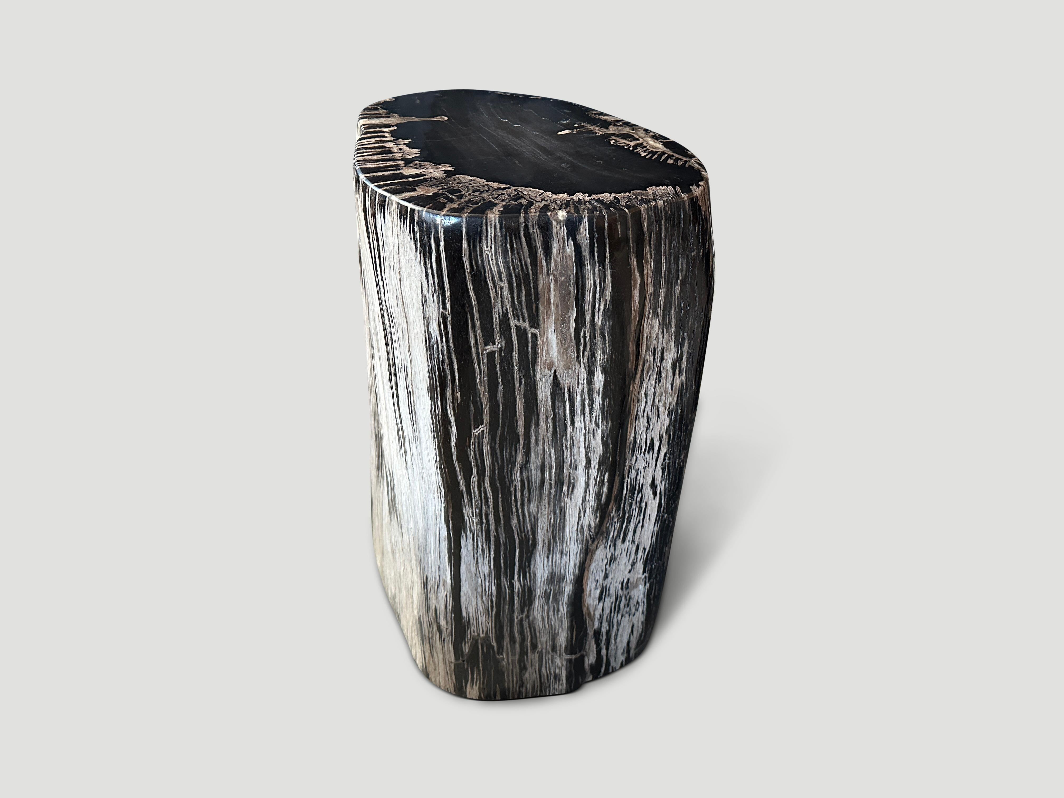 Organique Andrianna Shamaris Table d'appoint ou Pedestal en bois pétrifié noir et blanc en vente