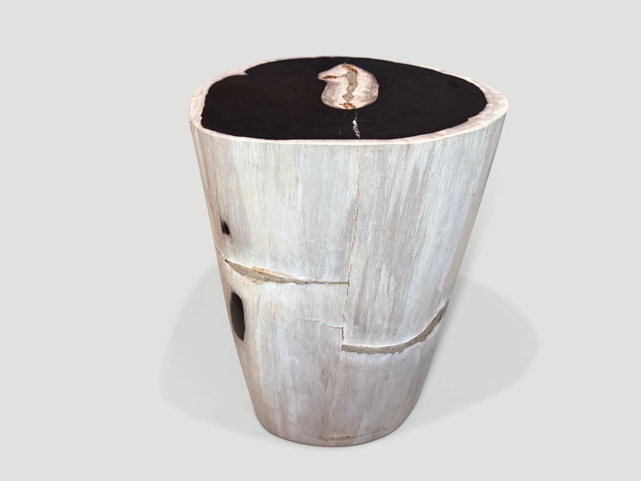 Organico moderno Tavolino o piedistallo in legno pietrificato bianco e nero di Andrianna Shamaris in vendita