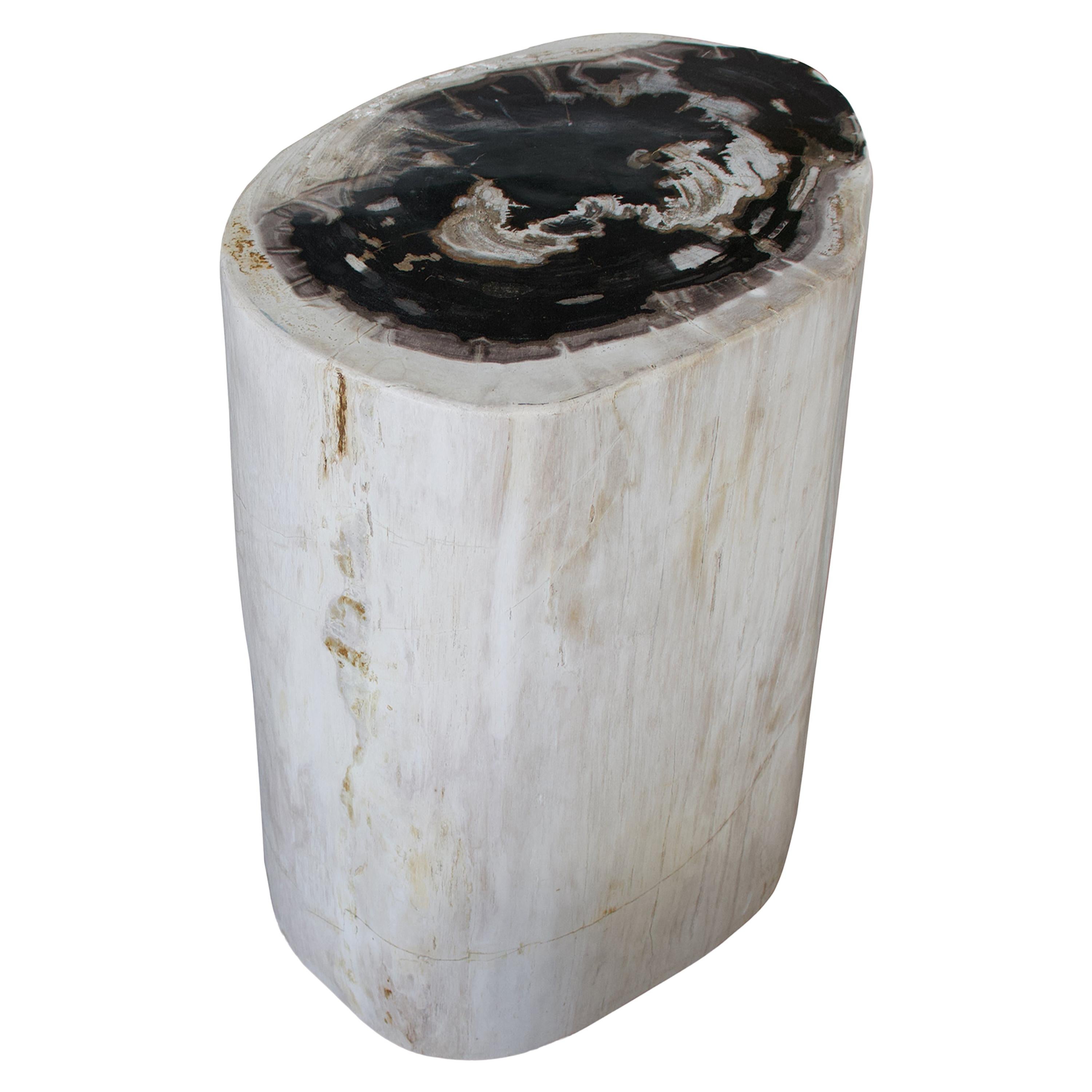 Andrianna Shamaris Black and White Petrified Wood Side Table or Pedestal