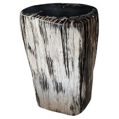 Andrianna Shamaris Black and White Petrified Wood Side Table or Pedestal