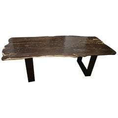 Andrianna Shamaris Black and White Petrified Wood Table