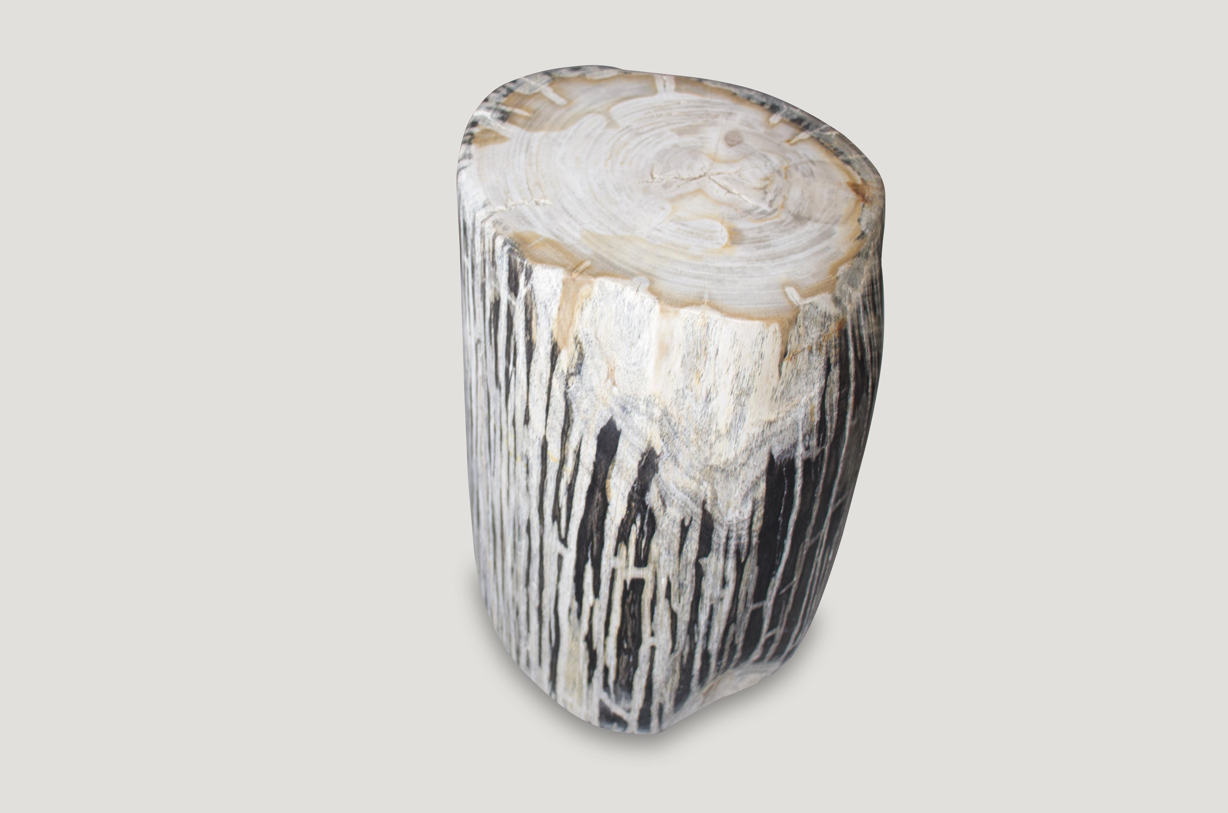 We have a fabulous collection of this black and white, hard to find, high quality petrified wood all cut from the same petrified log. The price reflects the one shown.

As with a diamond, we polish the highest quality fossilized petrified wood,