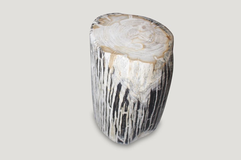 We have a fabulous collection of this black and white, hard to find, high quality petrified wood all cut from the same petrified log. The price reflects the one shown.

As with a diamond, we polish the highest quality fossilized petrified wood,