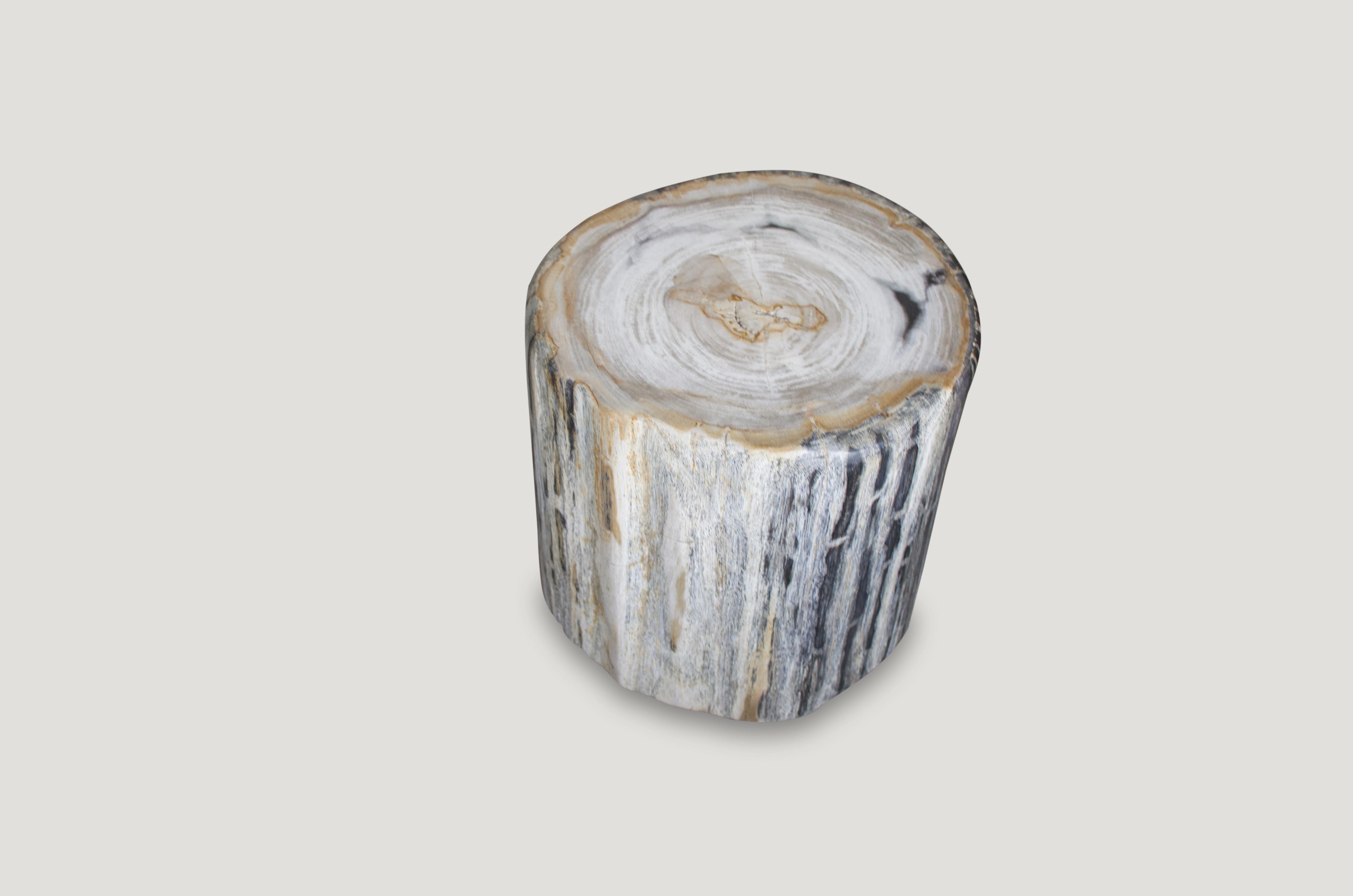 We have a fabulous collection of these black and white, hard to find high quality petrified wood side tables, all cut from the same petrified log. The price reflects the one shown.

As with a diamond, we polish the highest quality fossilized
