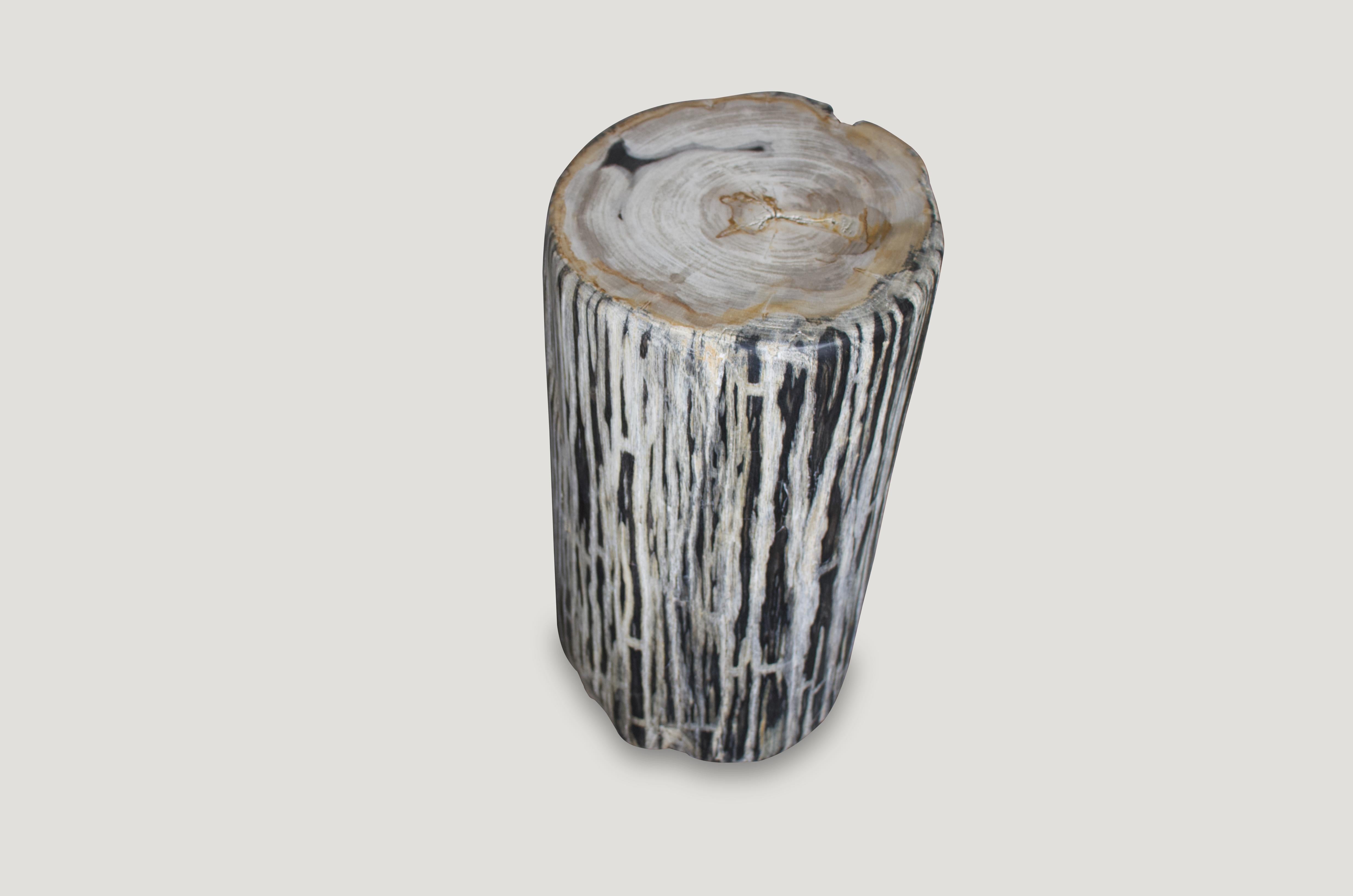We have a fabulous collection of these black and white, hard to find, high quality petrified wood side tables, all cut from the same petrified log. The price reflects the one shown.

As with a diamond, we polish the highest quality fossilized