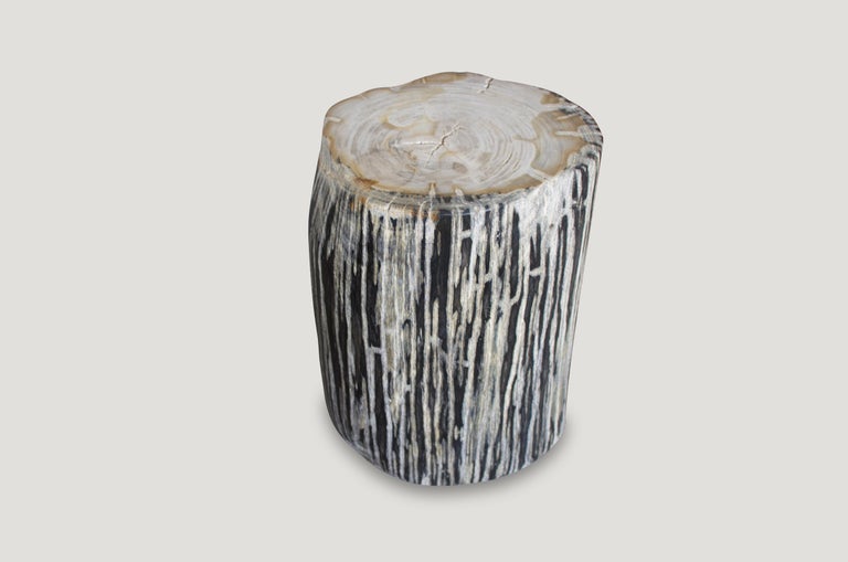 Organic Modern Andrianna Shamaris Black and White Stripe Petrified Wood Side Table