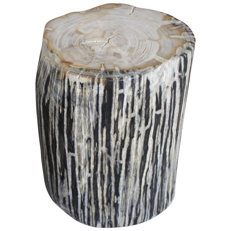 Andrianna Shamaris Black and White Stripe Petrified Wood Side Table